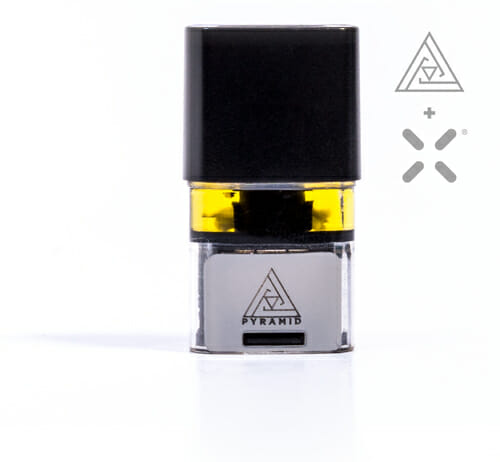 Pyramid Pax