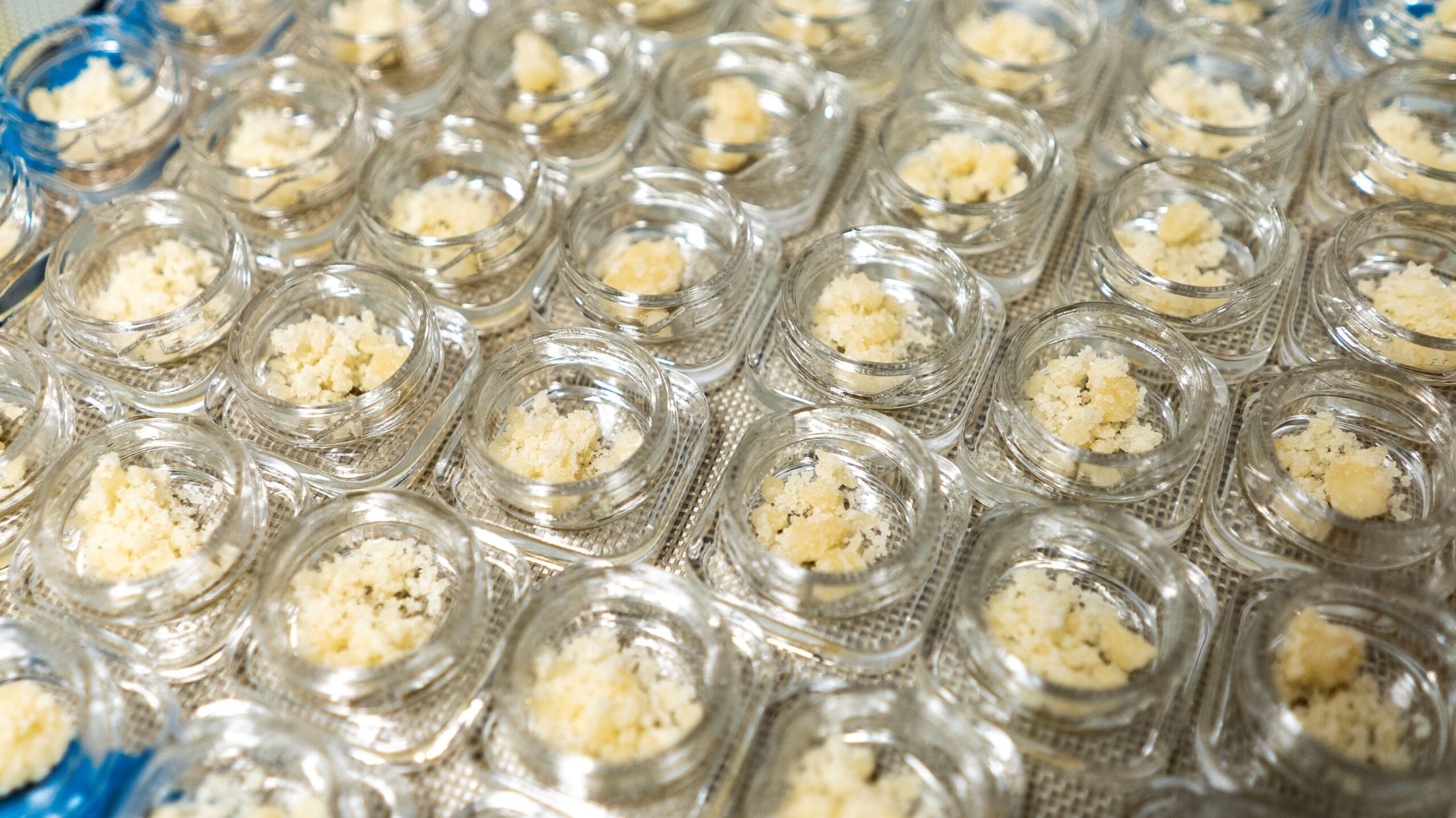 cannabis concentrate being packaged